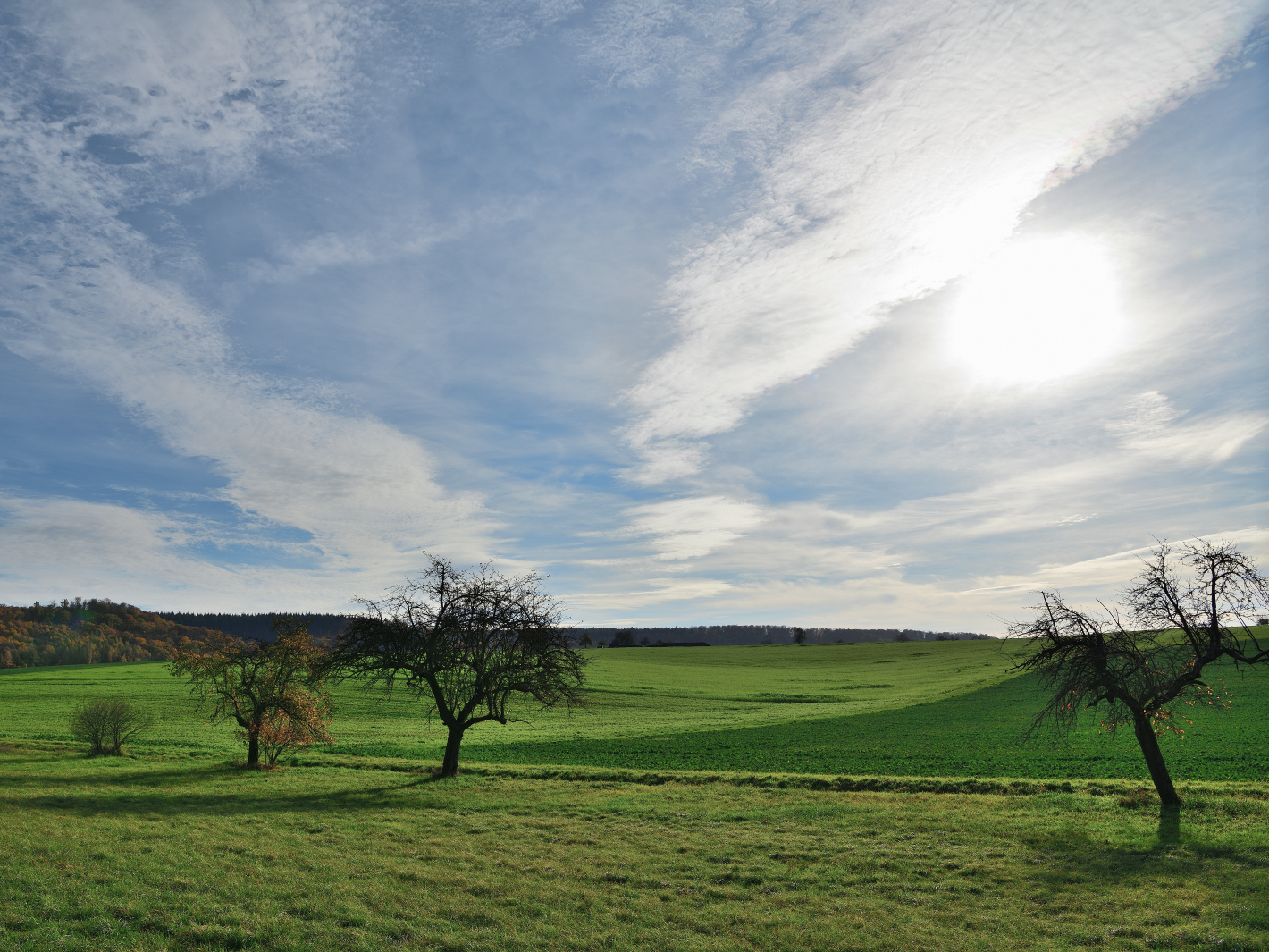 Sonntag mit Sonne