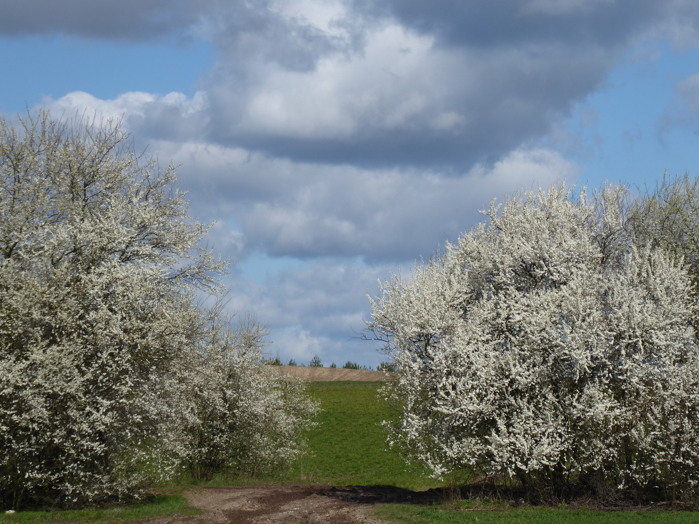 Sonntag mit Sonne