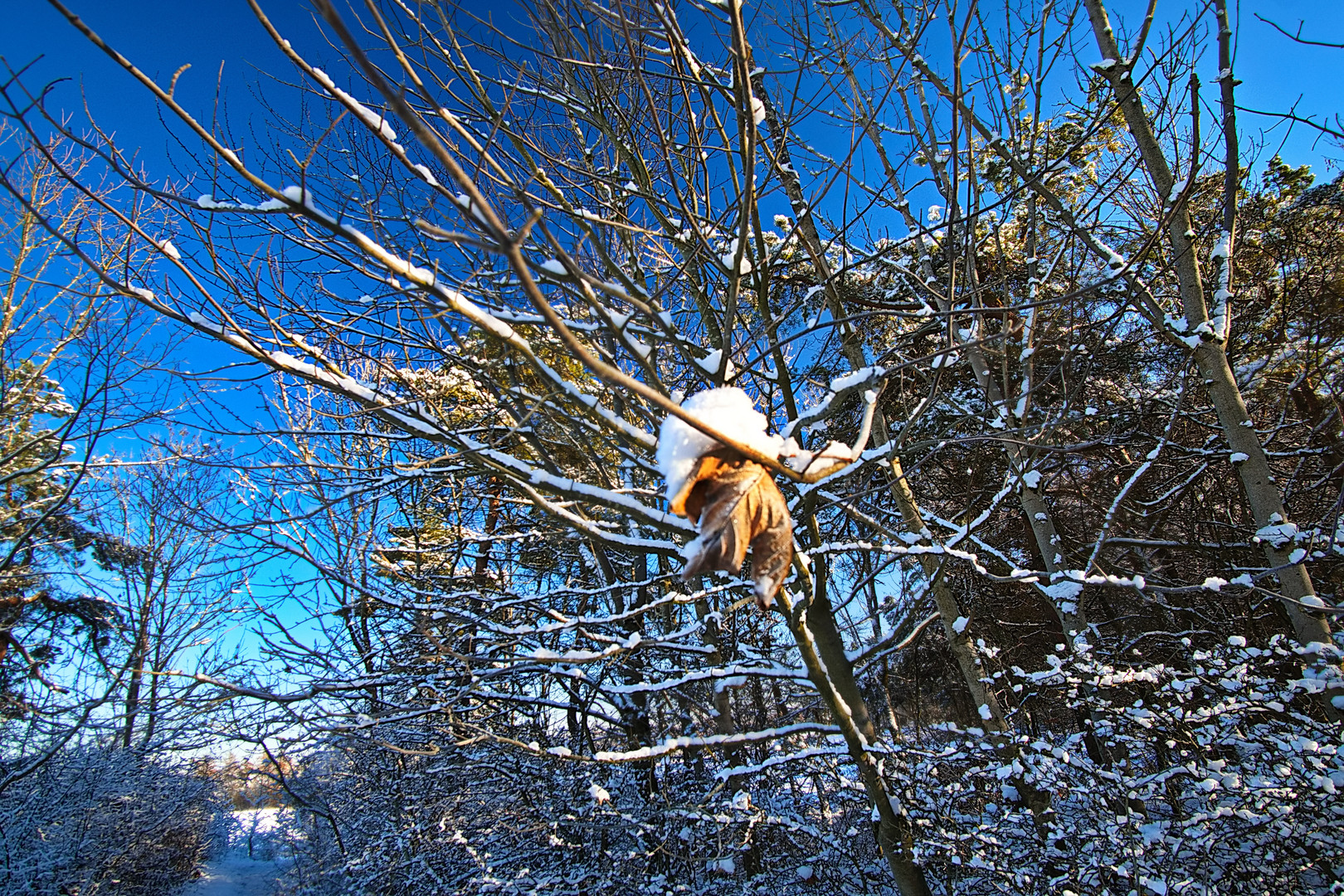 Sonntag mit Sonne - Das Eichsfeld im winterlichen Sonnenlicht Foto 5