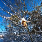 Sonntag mit Sonne - Das Eichsfeld im winterlichen Sonnenlicht Foto 5