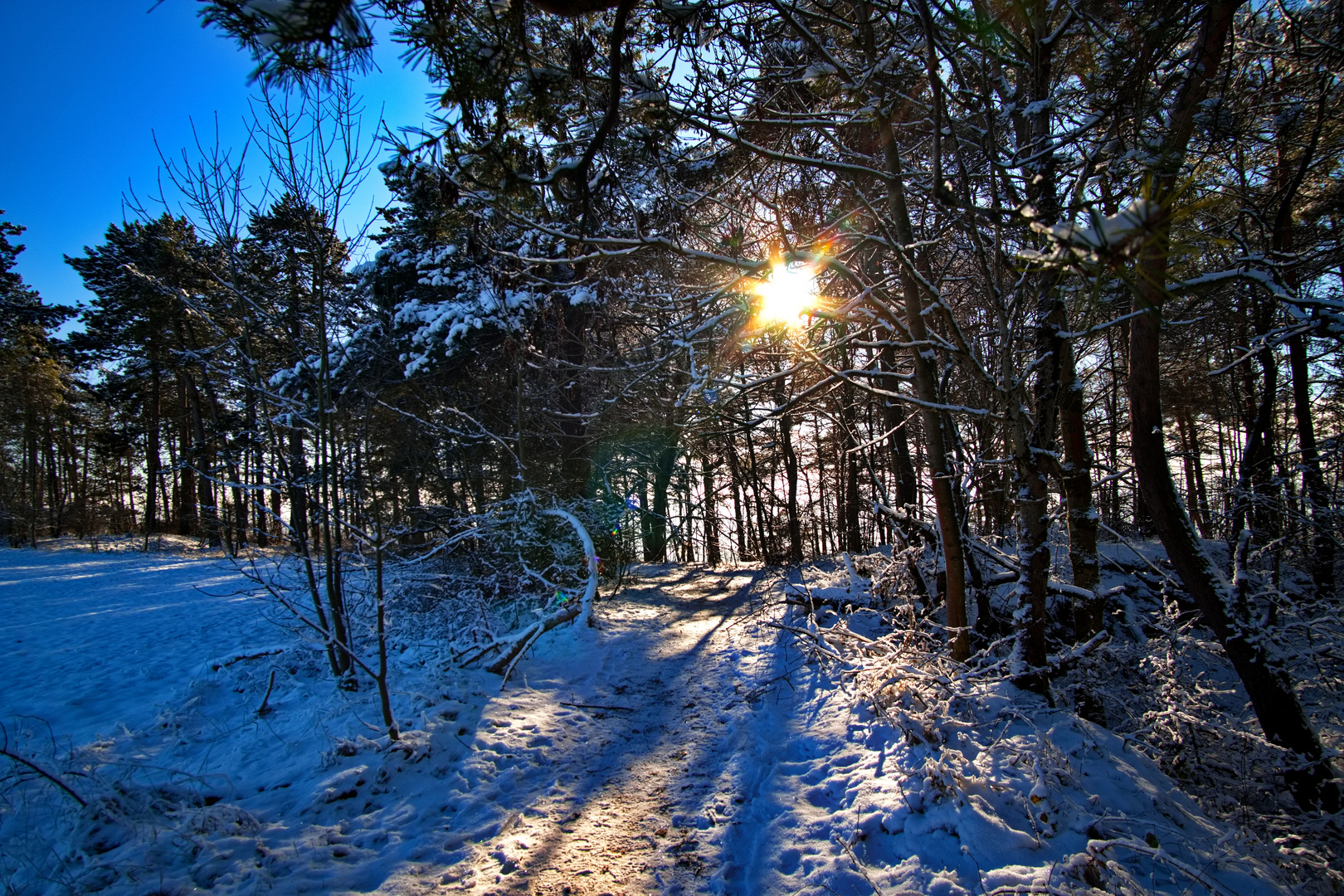 Sonntag mit Sonne - Das Eichsfeld im winterlichen Sonnenlicht Foto 6