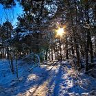 Sonntag mit Sonne - Das Eichsfeld im winterlichen Sonnenlicht Foto 6