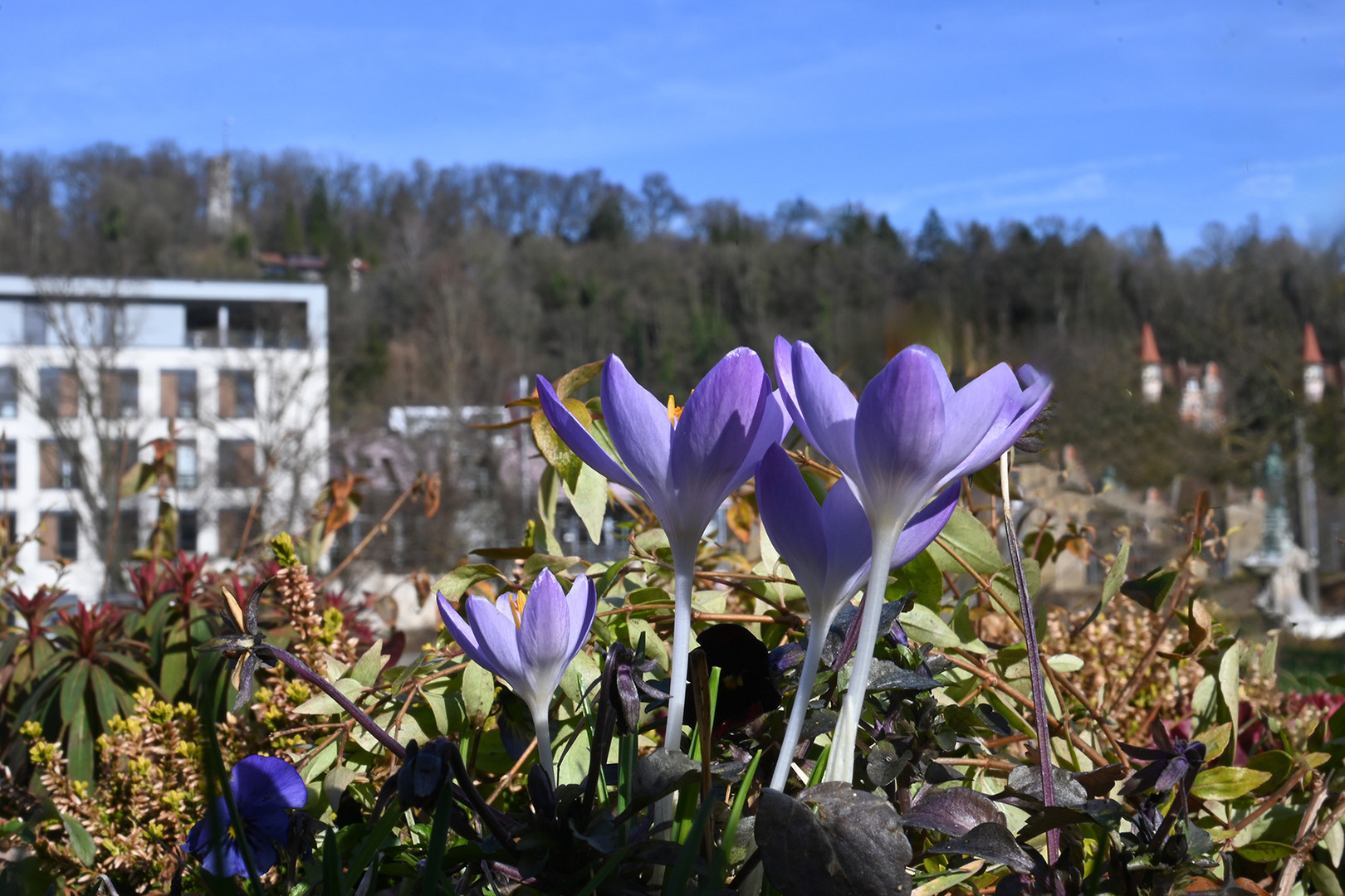 Sonntag mit Sonne - dimanche avec du soleil