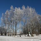 Sonntag mit Sonne - dimanche avec du soleil