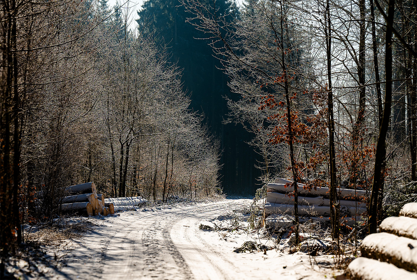 Sonntag mit Sonne - dimanche avec du soleil