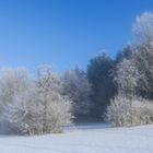 Sonntag mit Sonne - dimanche avec du soleil