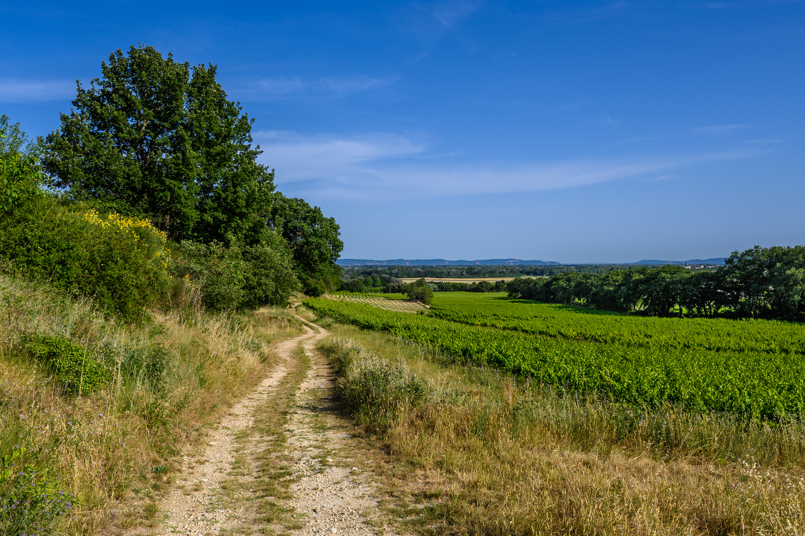 Sonntag mit Sonne - Dimanche avec soleil