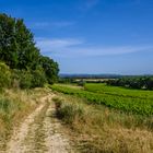 Sonntag mit Sonne - Dimanche avec soleil