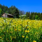 Sonntag mit Sonne - Dimanche avec soleil