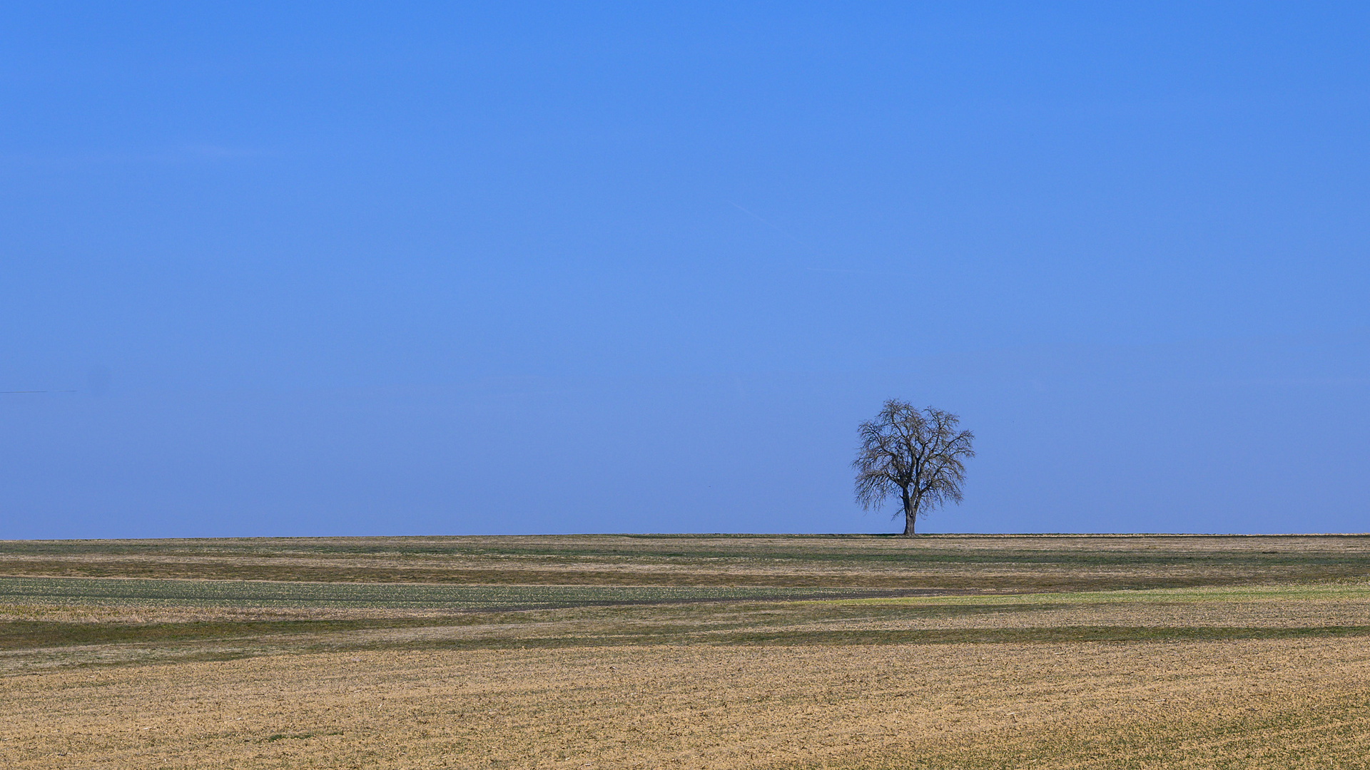 Sonntag mit Sonne - Dimanche avec soleil