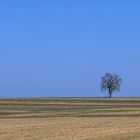 Sonntag mit Sonne - Dimanche avec soleil