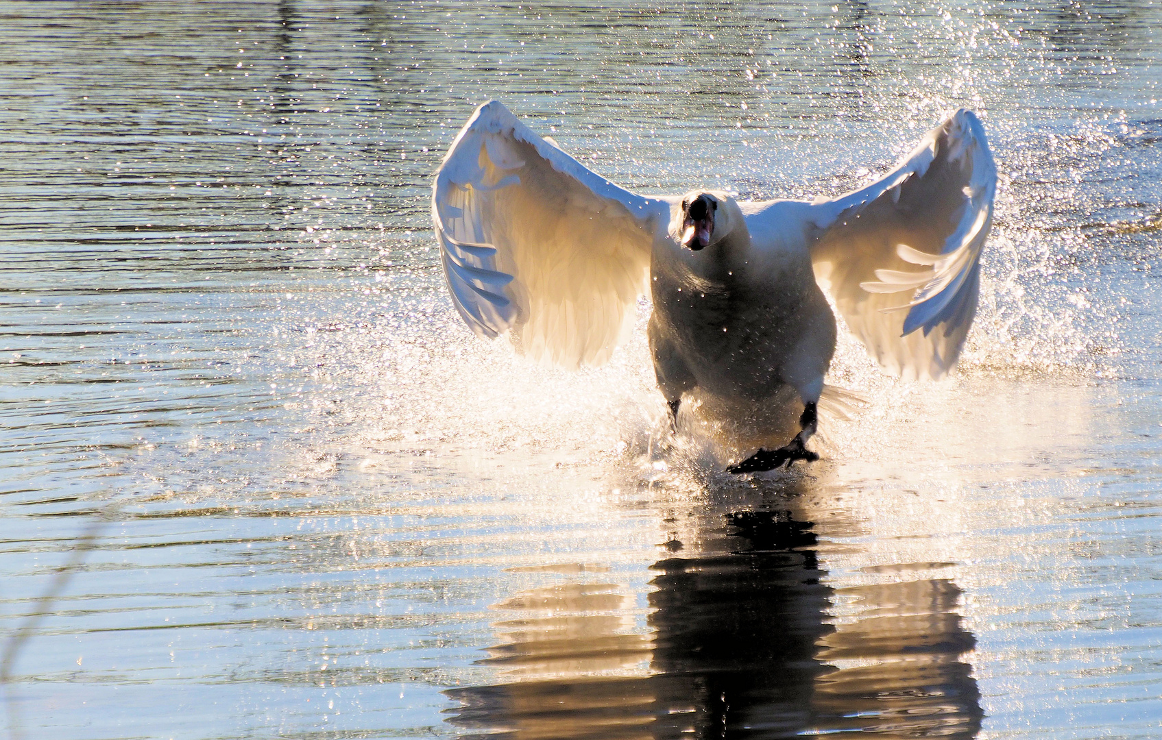 Sonntag mit Sonne ….