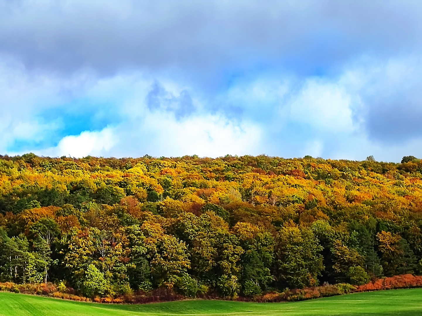 Sonntag mit Sonne - Eichsfelder Herbstwald im Sonnenlicht