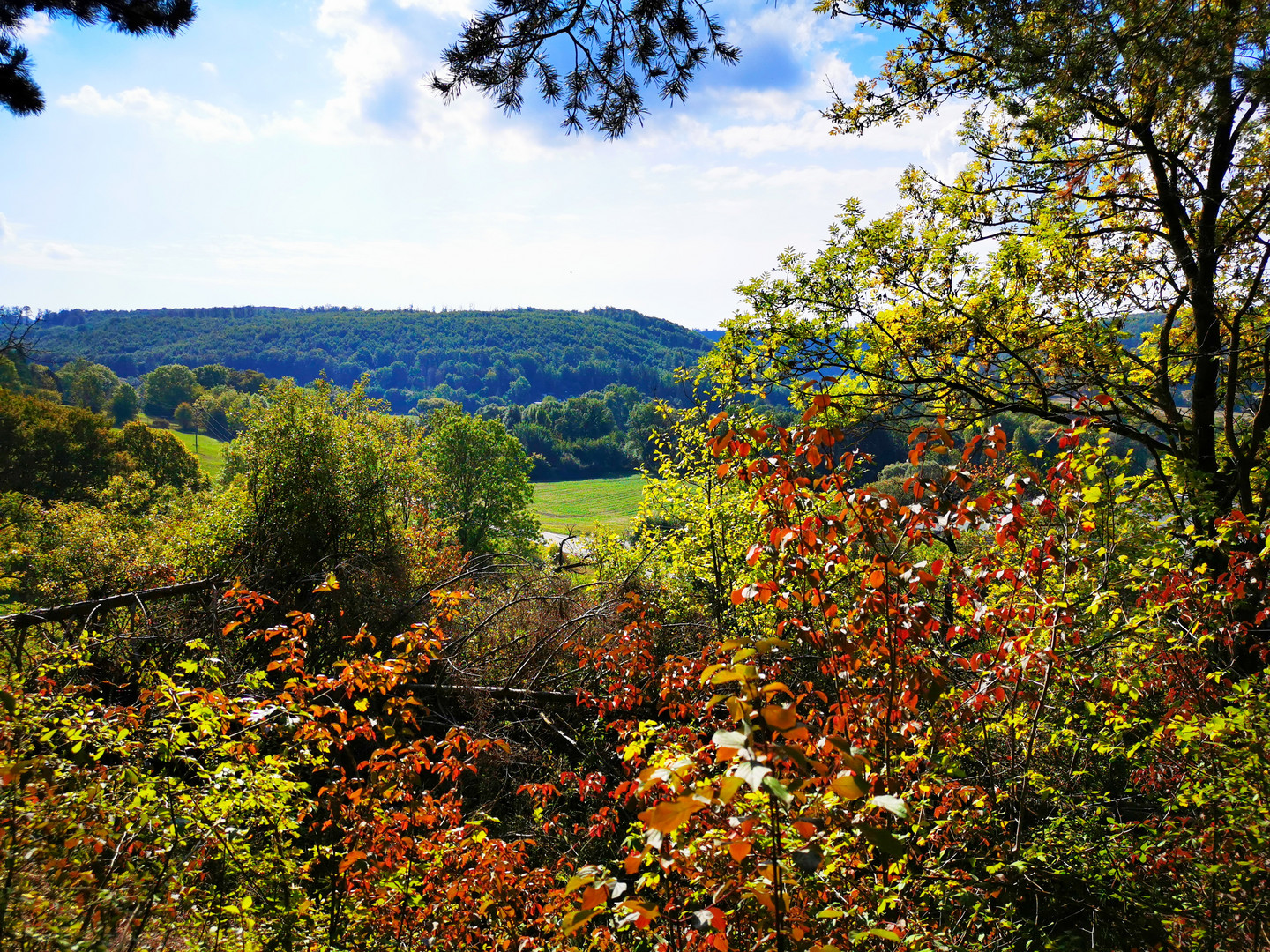 Sonntag mit Sonne - Herbststimmung am Dün in Heilbad Heiligenstadt