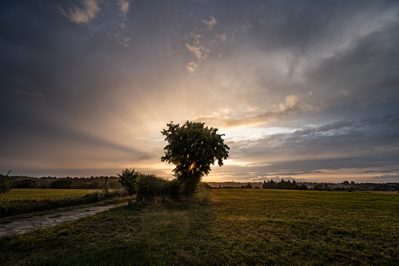 Sonntag mit Sonne hinterm Baum