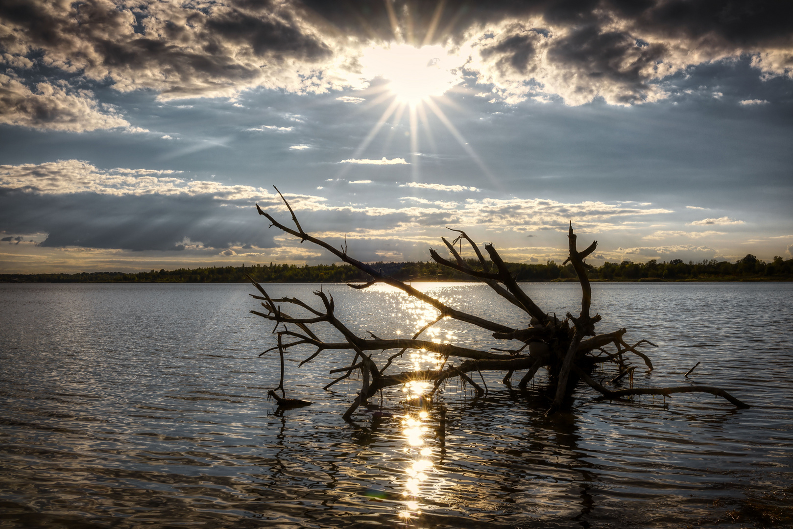 Sonntag mit Sonne: ... im Gegenlicht