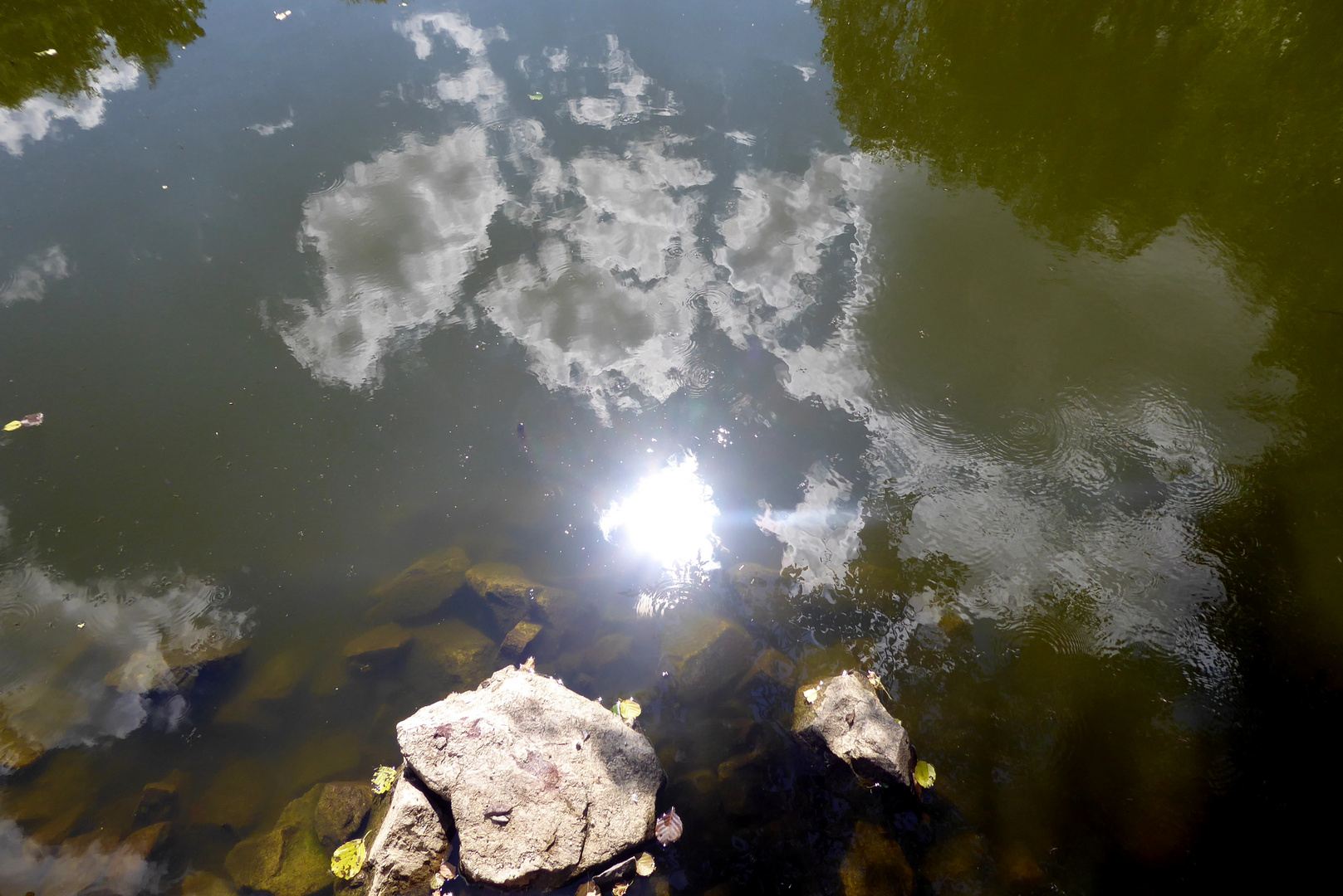 Sonntag mit Sonne - im Teich