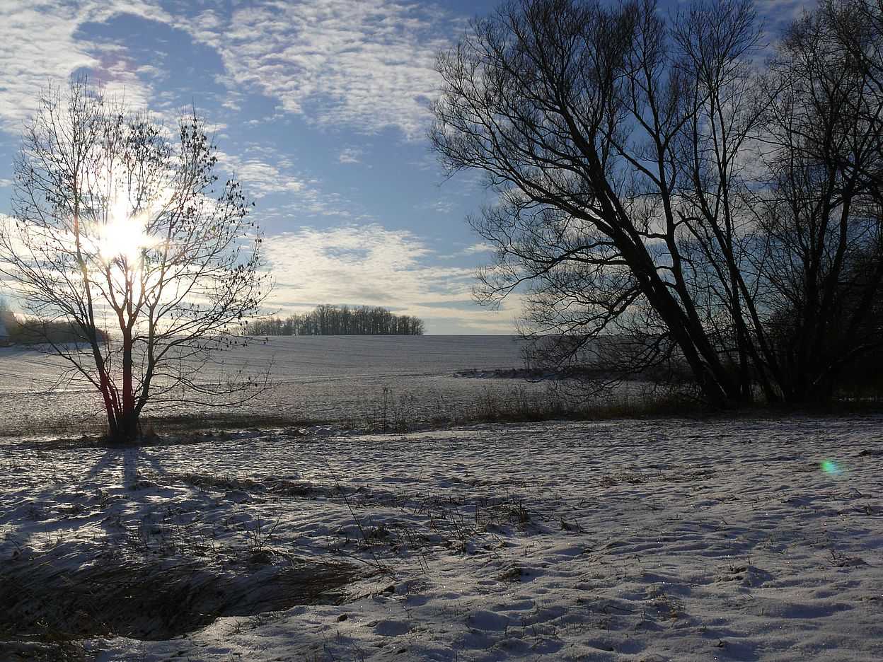 Sonntag mit Sonne im Winter