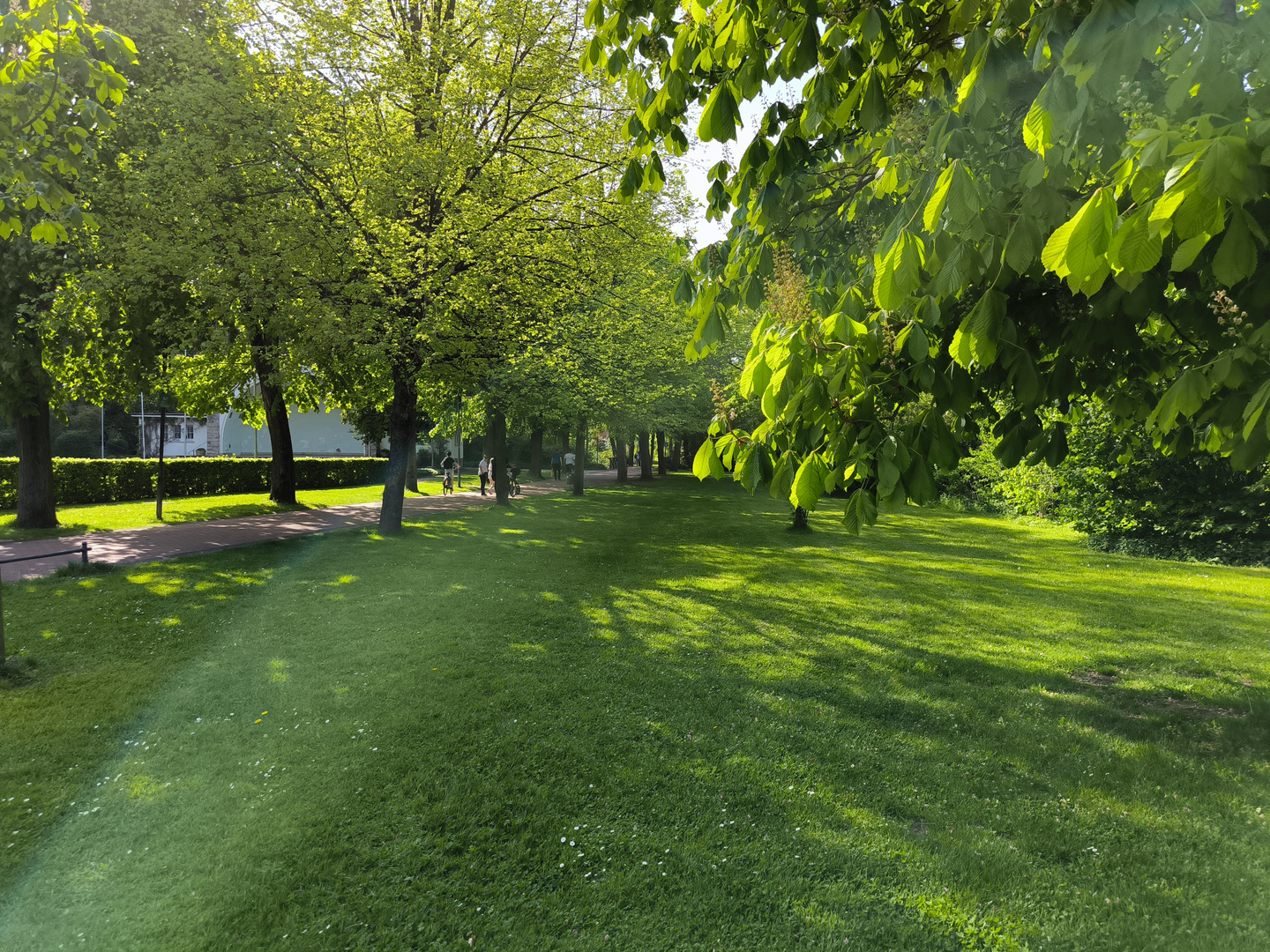 Sonntag mit Sonne - Lichtspiel im grünen Heinrich-Heine-Kurpark