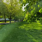 Sonntag mit Sonne - Lichtspiel im grünen Heinrich-Heine-Kurpark