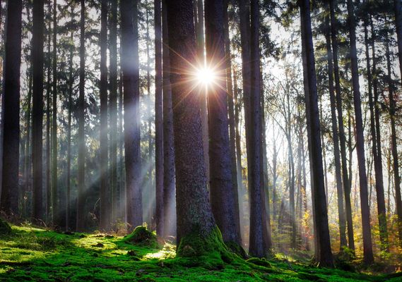 Sonntag mit Sonne (-n Stern)