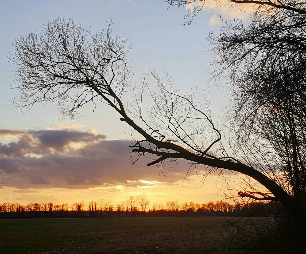 Sonntag mit Sonne - Neue Mitmach-Aktion 