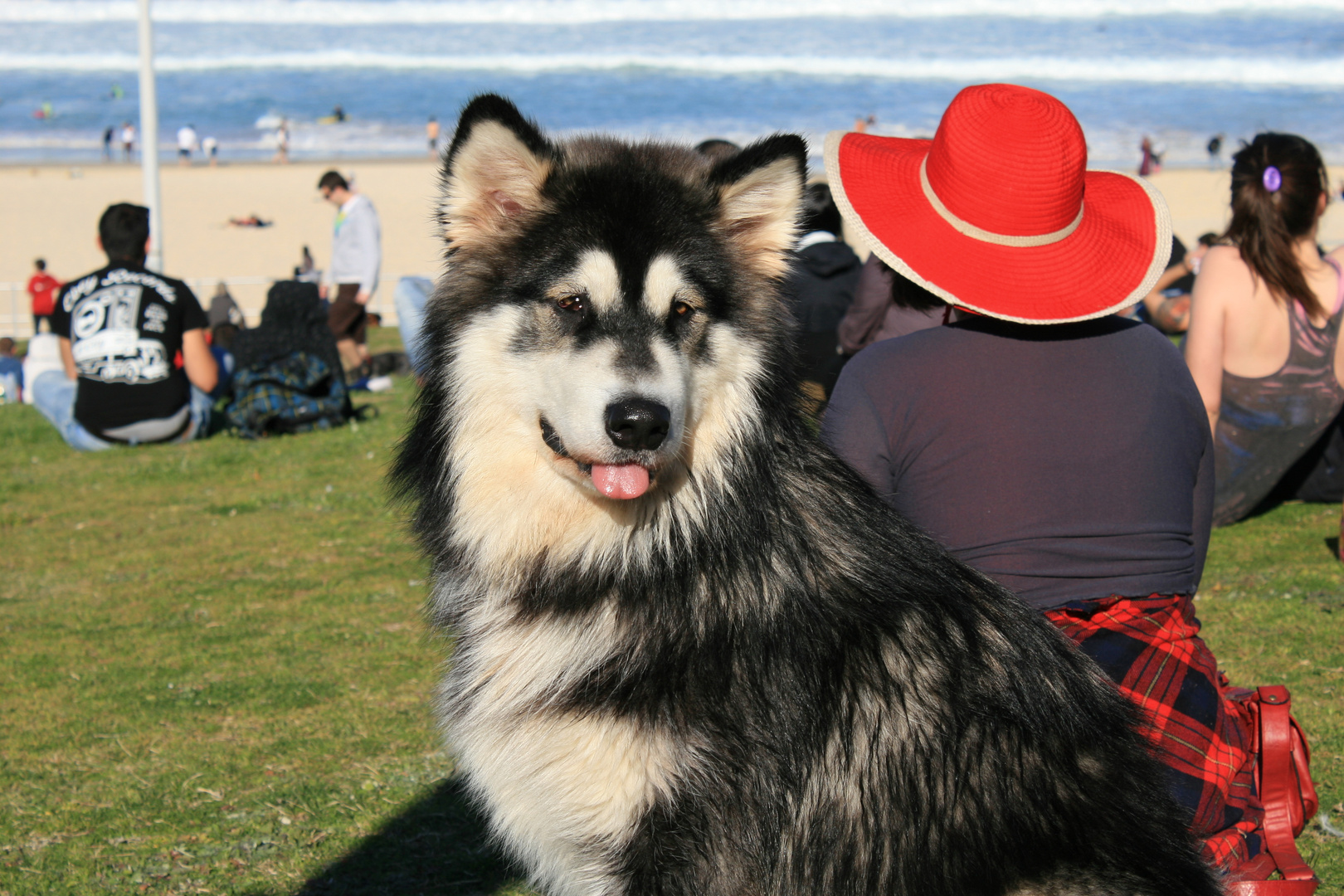 Sonntag mit Sonne: On Bondi Beach