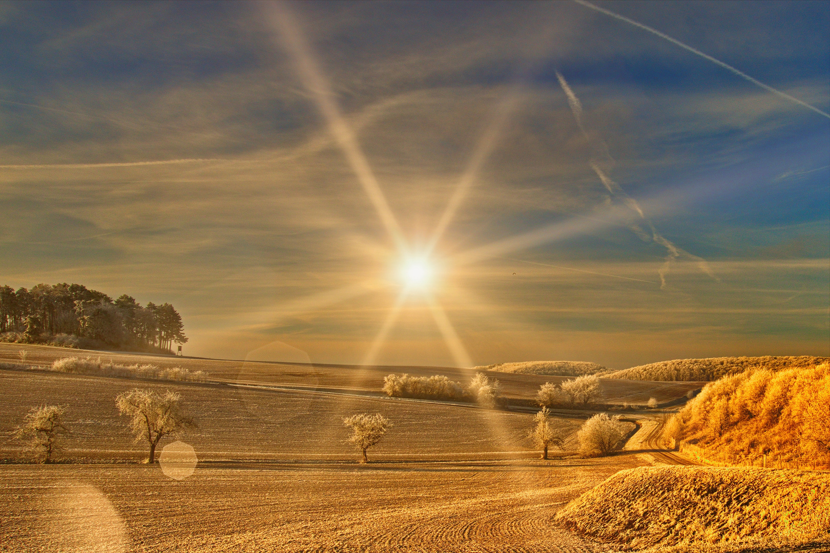 Sonntag mit Sonne - Raureifzier im Sonnenlicht