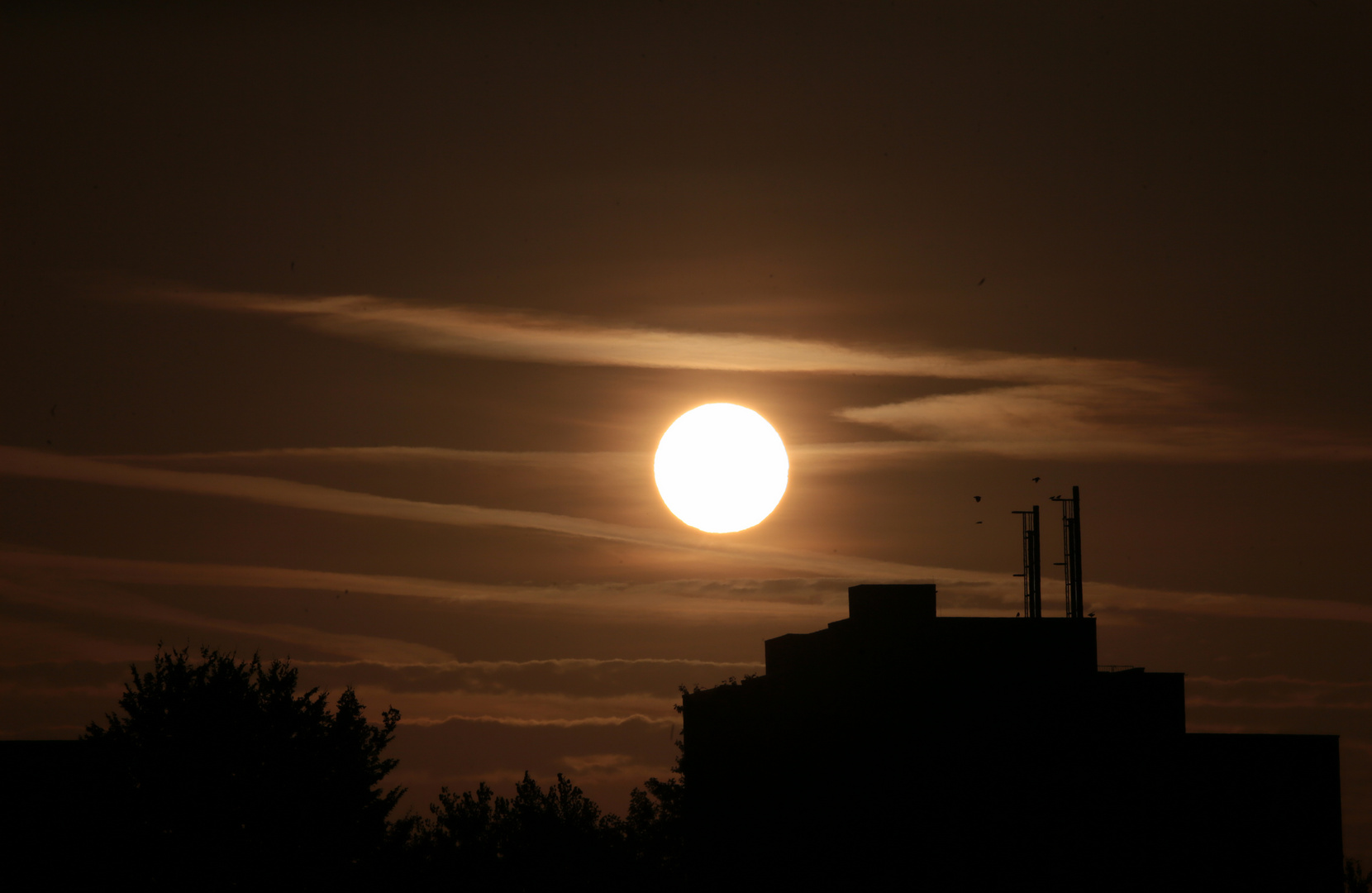 Sonntag mit Sonne - Sonnenaufgang