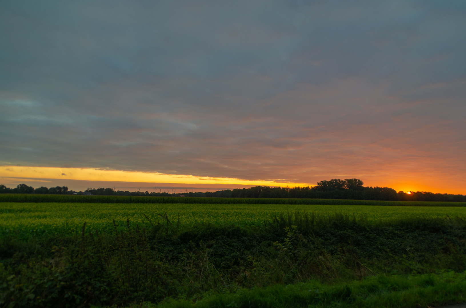 "Sonntag mit Sonne" Sonnenaufgang im Moor 