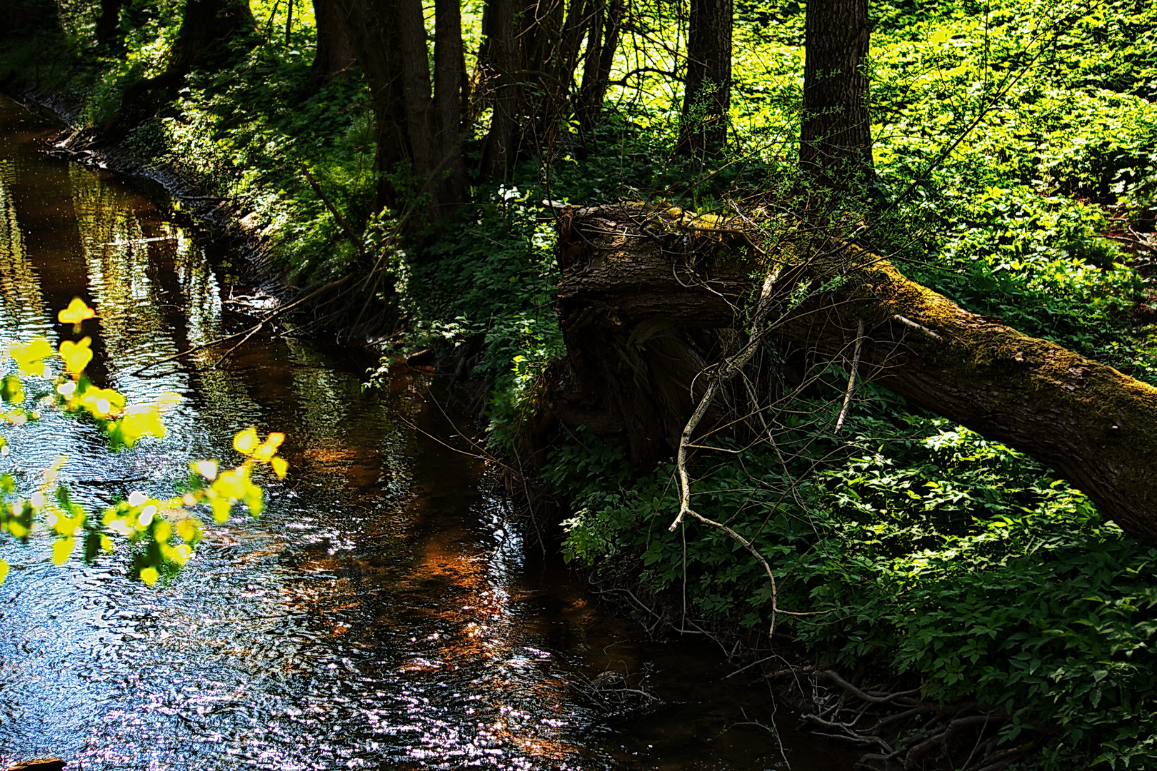 Sonntag mit Sonne - Sonnenlicht an der Leine