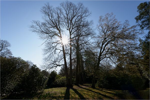 Sonntag mit Sonne - Sonnenstern
