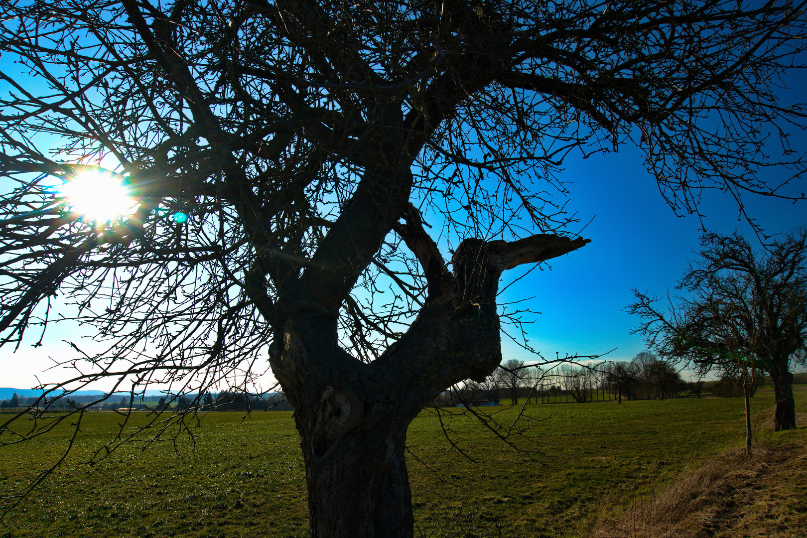 Sonntag mit Sonne - Sonnentag im Eichsfeld