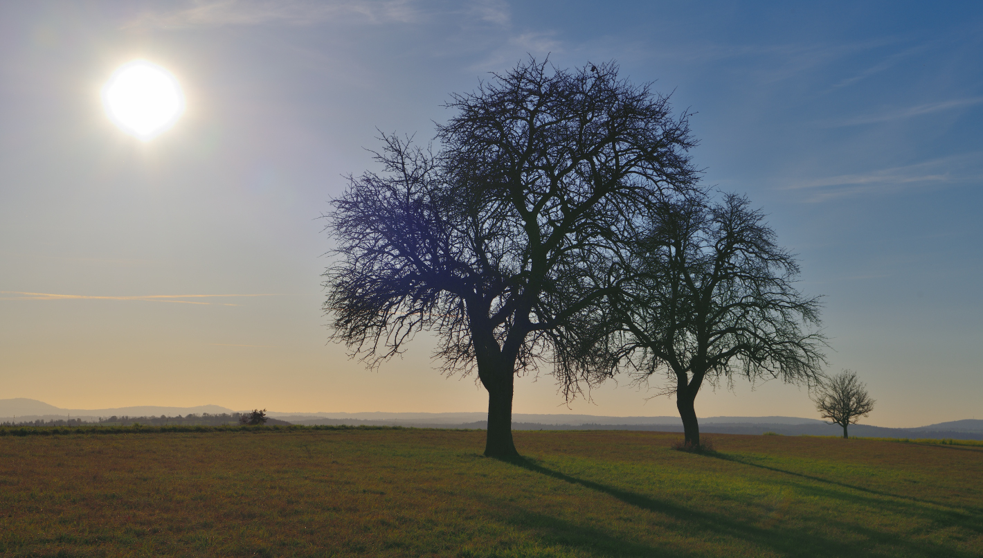 Sonntag mit Sonne, Sunday with sun, domingo con sol