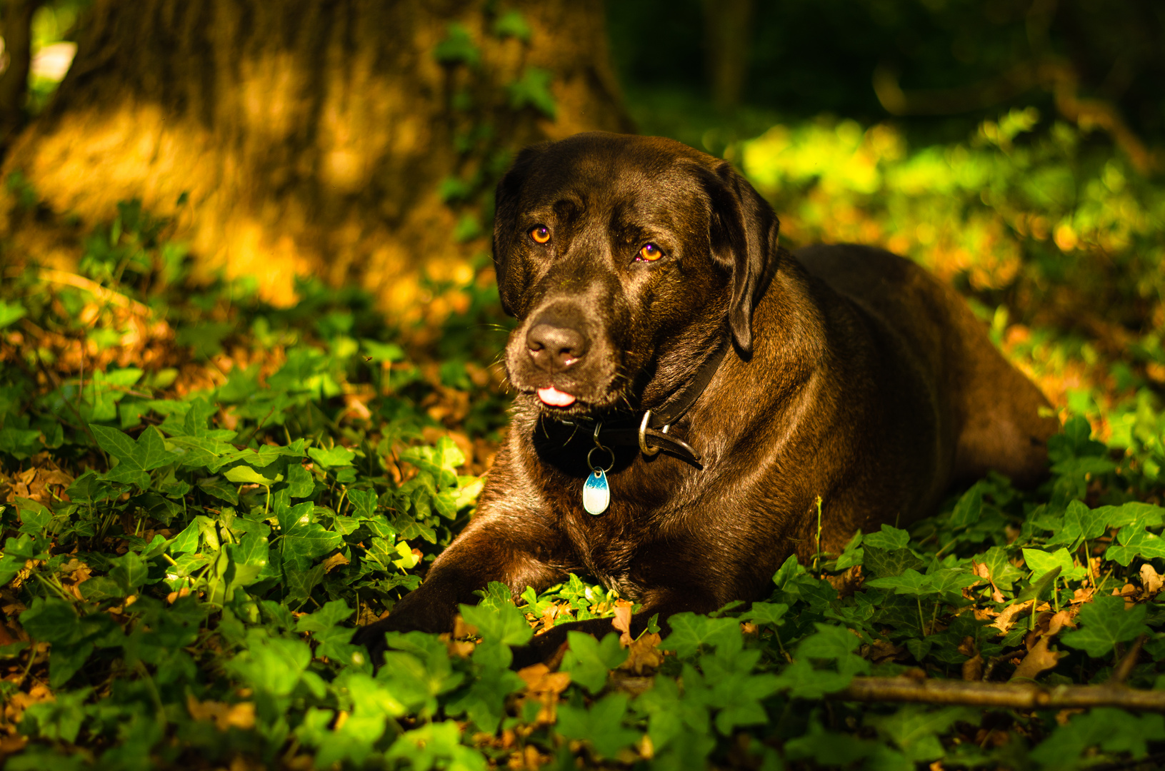 "Sonntag mit Sonne" und die Sonne kitzelt in der Nase