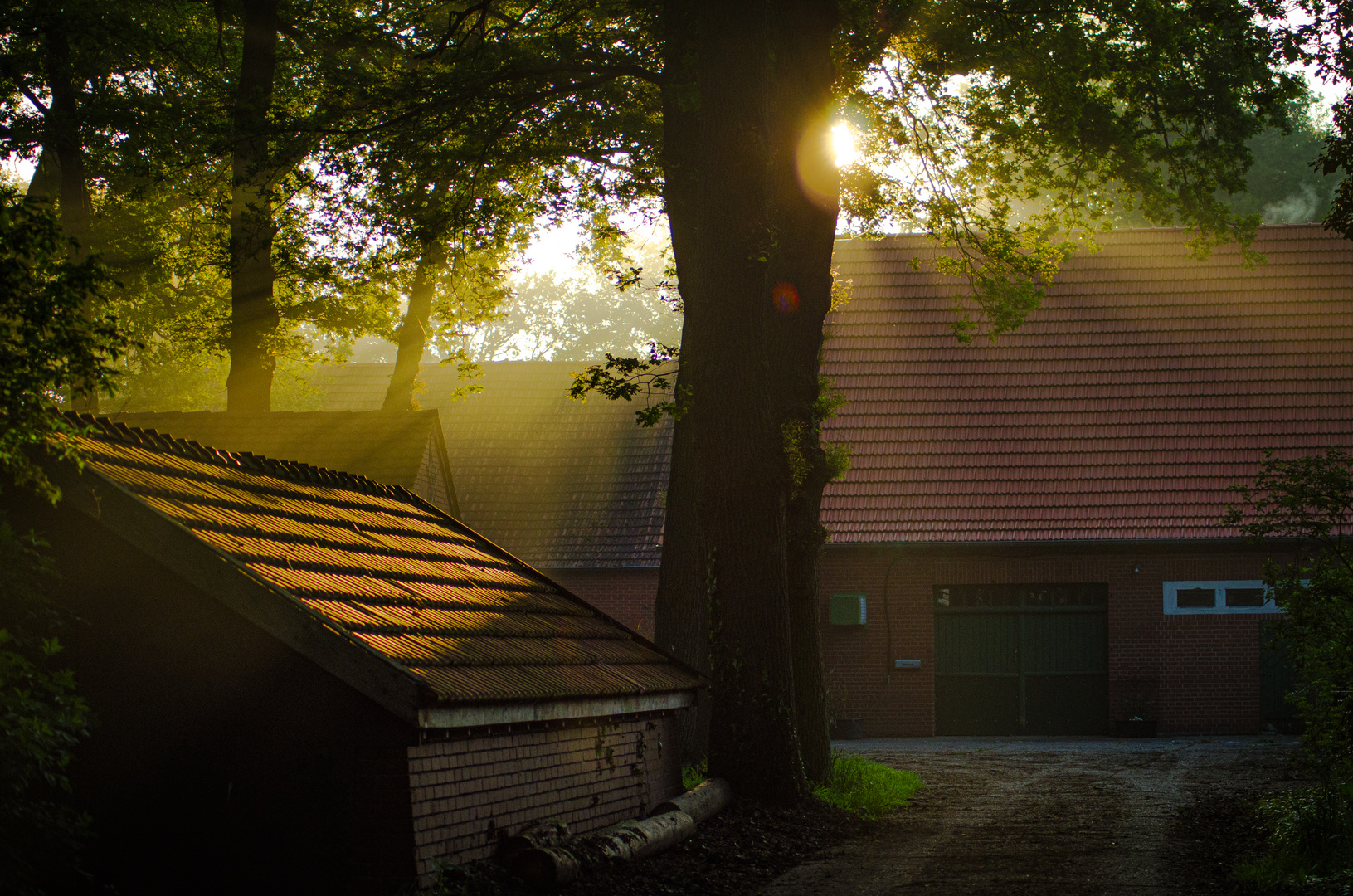 "Sonntag mit Sonne"  und ein Hof im Nebel