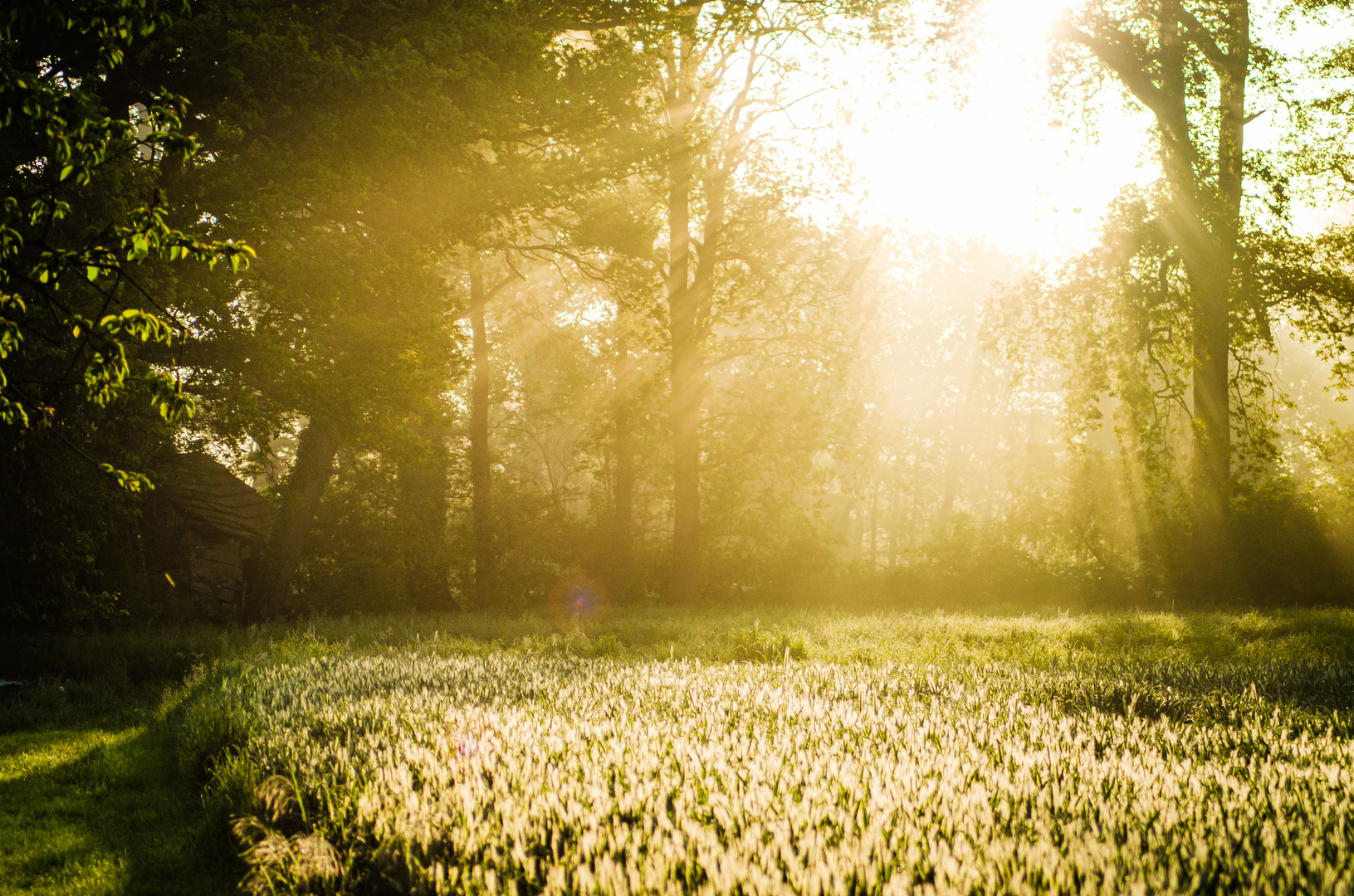 "Sonntag mit Sonne" und leichter Nebel