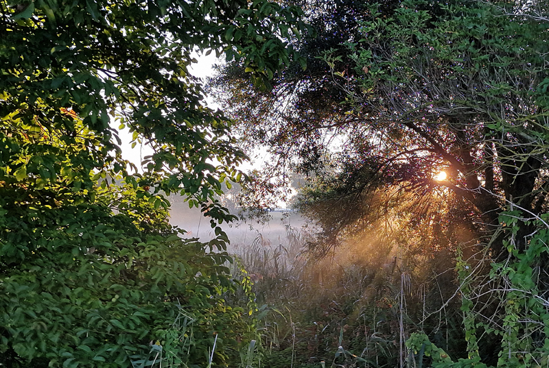 Sonntag mit Sonne und Nebel