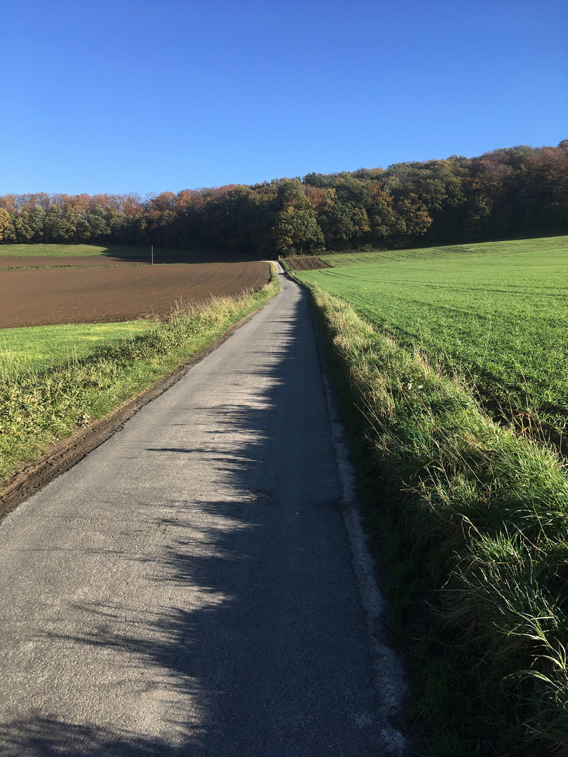 Sonntag mit Sonne und Schatten