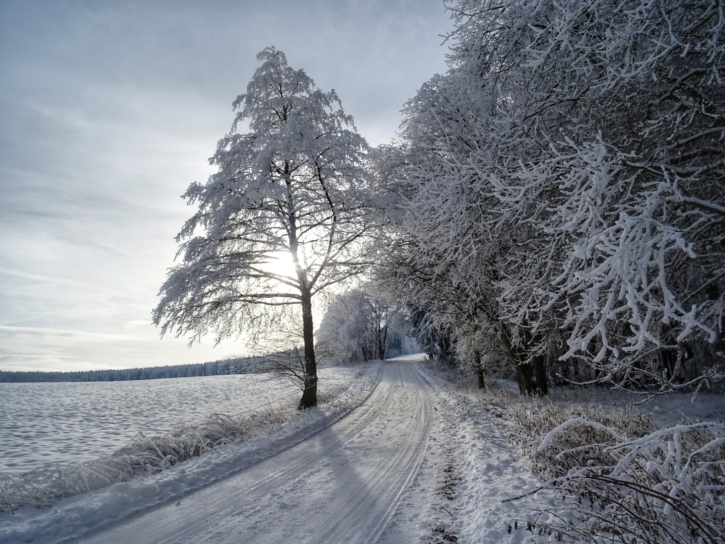 Sonntag mit Sonne und Schnee 