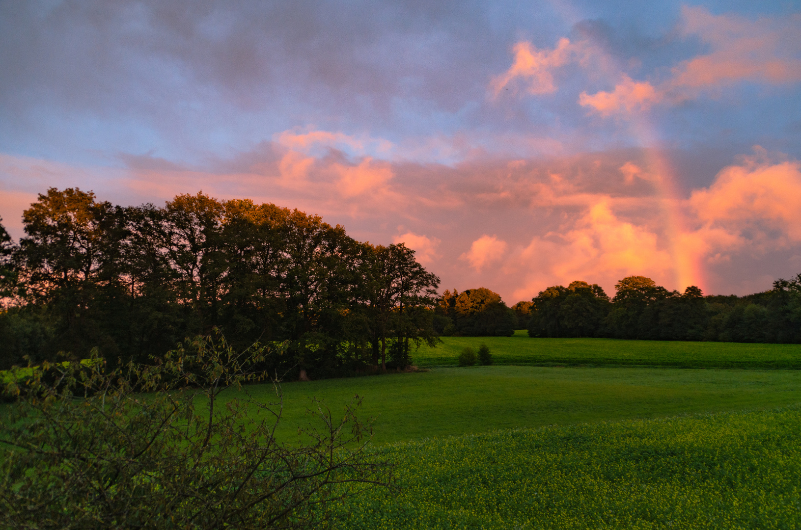 "Sonntag mit Sonne"  und Sonnenuntergang