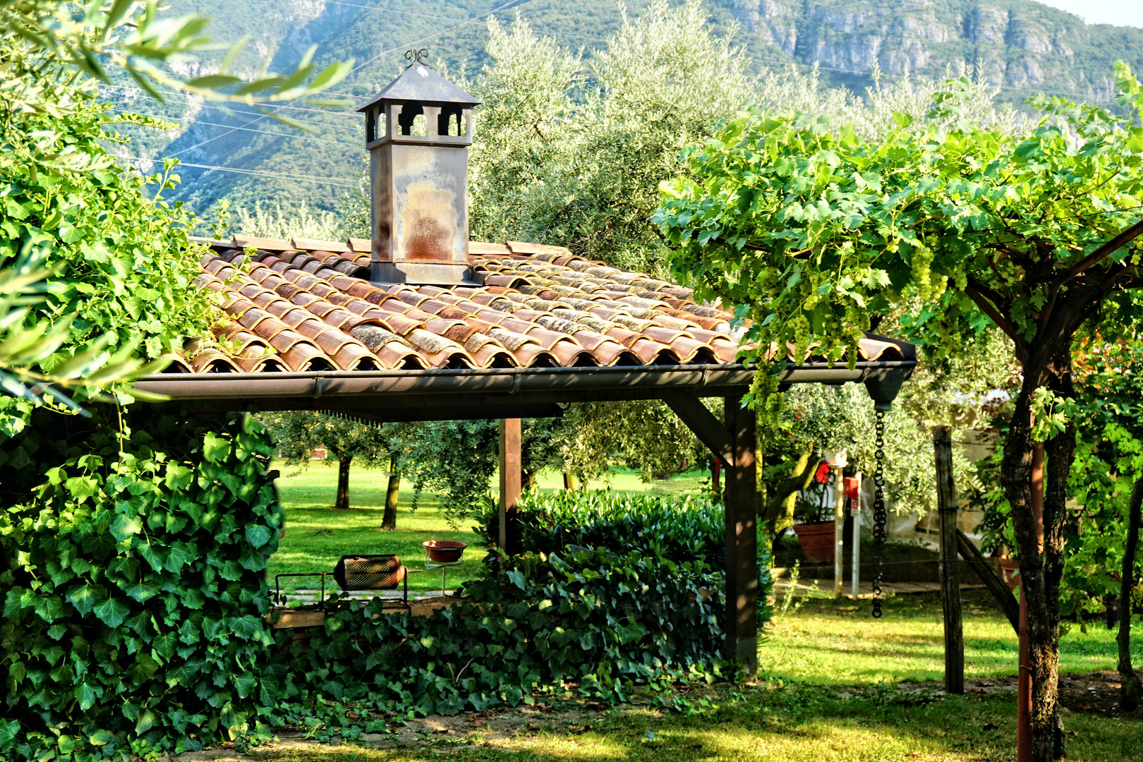 Sonntag mit Sonne - Weingut der Famiglia Marsilli in Italian