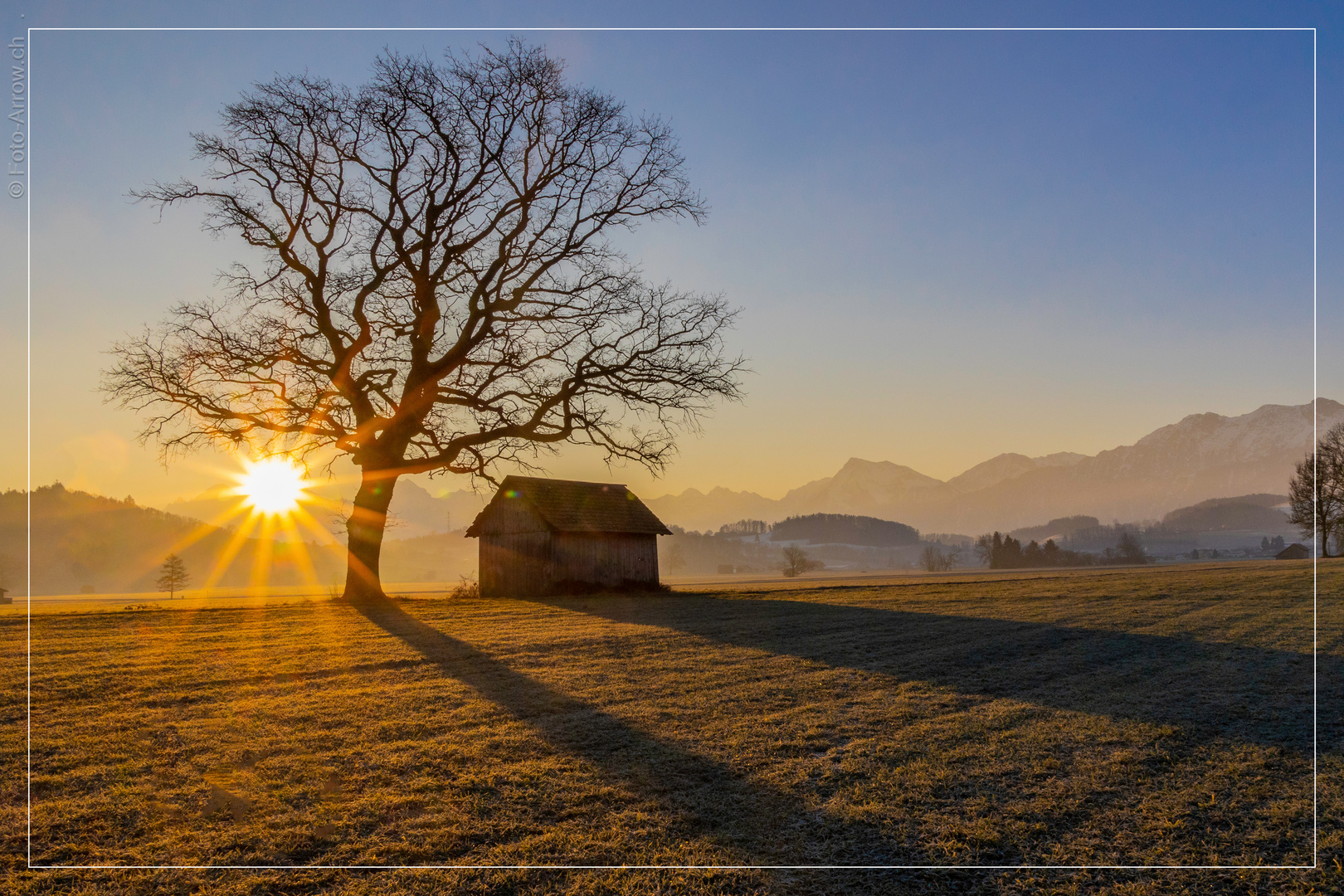 *** Sonntag mit Sonne zur goldenen Stunde***