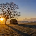 *** Sonntag mit Sonne zur goldenen Stunde***