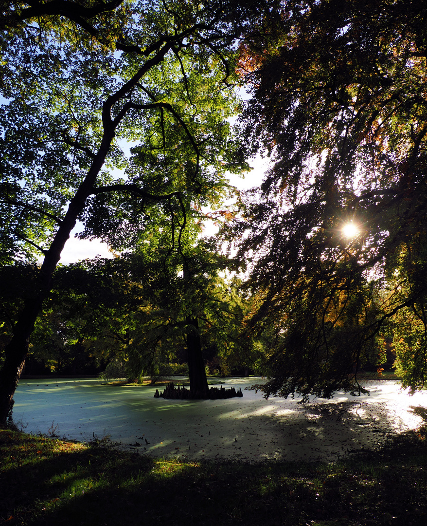 Sonntag mit Sonne…im Schlosspark …