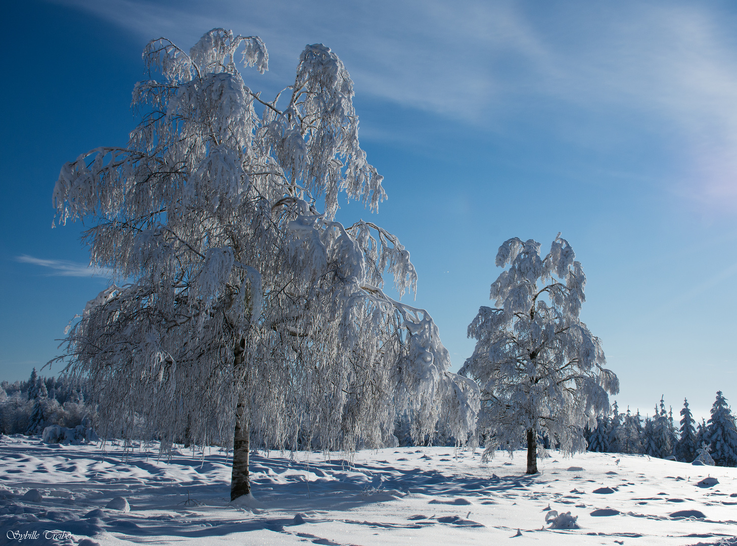 Sonntag mit Wintersonne