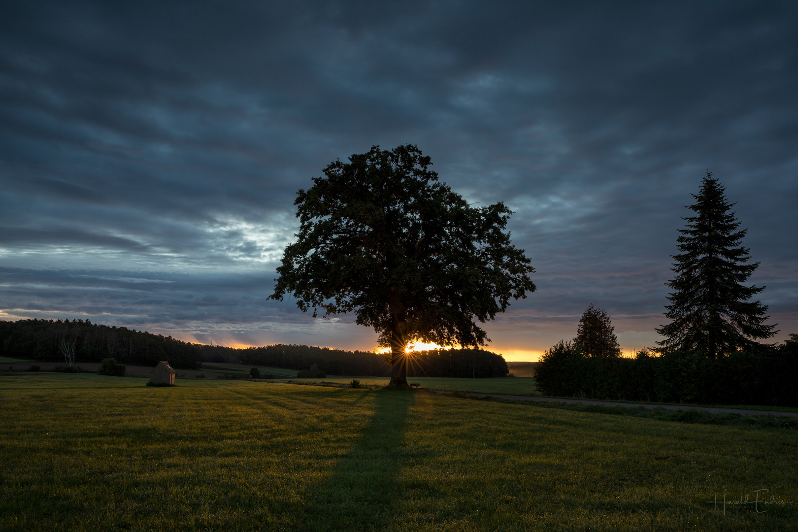 Sonntag Morgen II