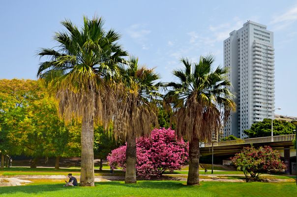 Sonntag morgen im Turia Park