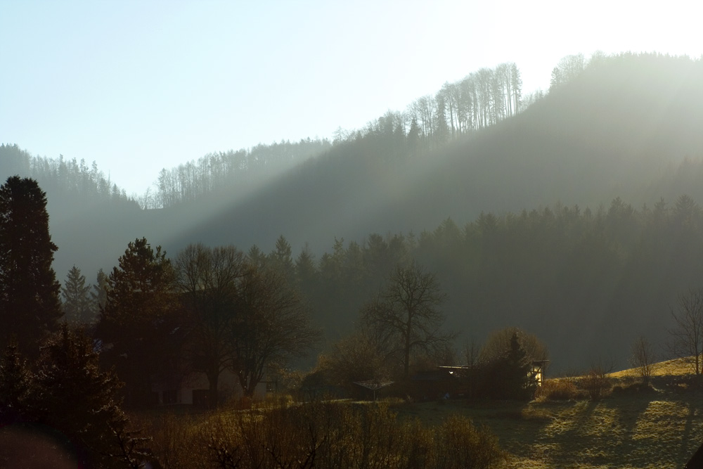 sonntag morgen mitten im jänner