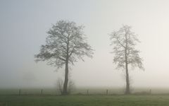 Sonntag-Morgen-Nebel